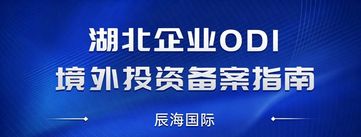 湖北企业境外投资 ODI 备案指南